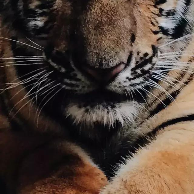 日本最高端护肤品品牌,日本最好用的十大护肤品推荐