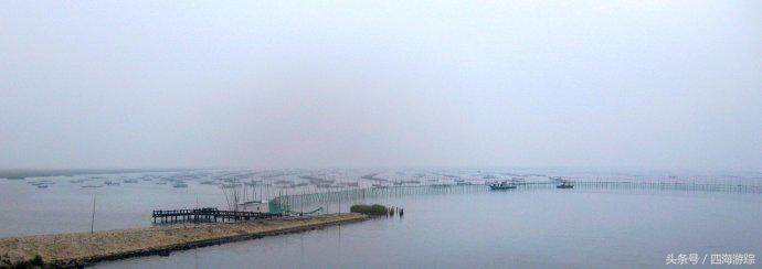 浙江玉环漩门湾国家湿地公园灯光,浙江玉环漩门湾湿地公园拍鸟