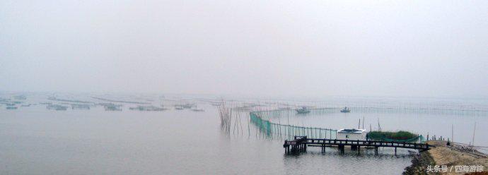 浙江玉环漩门湾国家湿地公园灯光,浙江玉环漩门湾湿地公园拍鸟