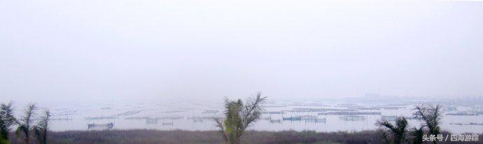 浙江玉环漩门湾国家湿地公园灯光,浙江玉环漩门湾湿地公园拍鸟