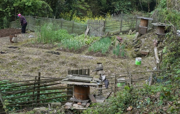 怎么选蜂蜜才能买到真蜂蜜,怎么买才能买到纯正蜂蜜