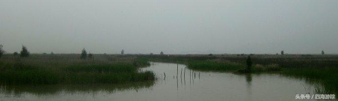 浙江玉环漩门湾国家湿地公园灯光,浙江玉环漩门湾湿地公园拍鸟