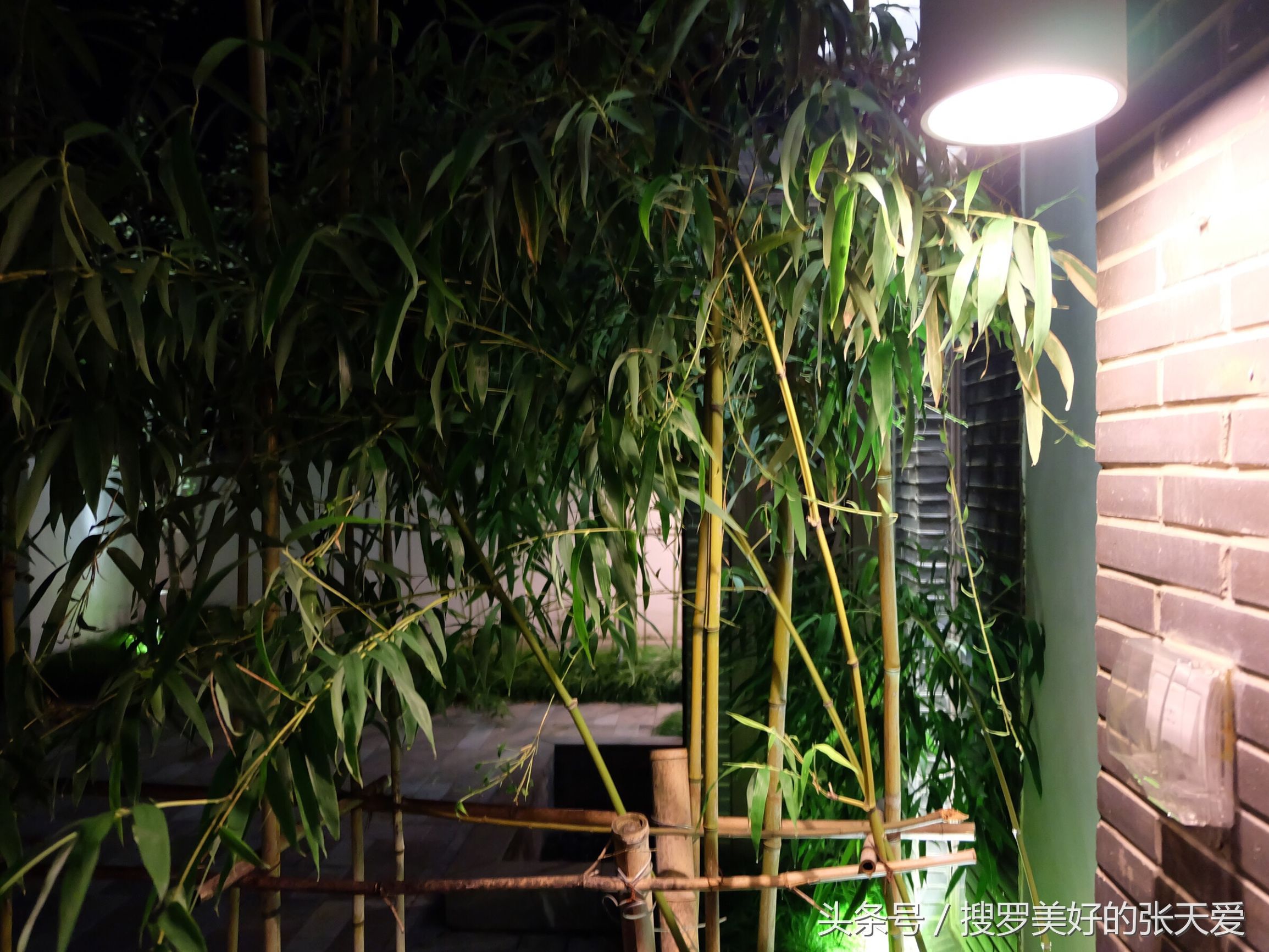 自然环境酒店,最美黄山酒店