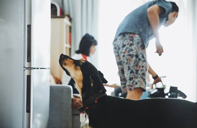 “列车运行前方：龙车站”我和TA打开了意外之门