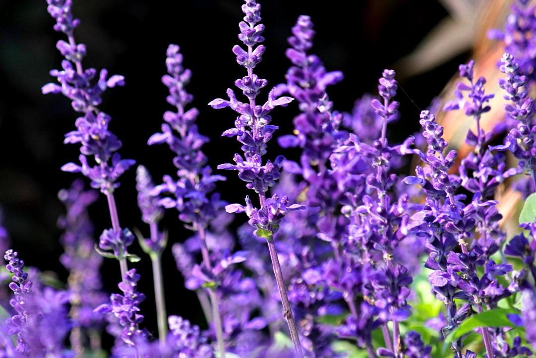 女人最喜欢男人的8种行为,女人最喜欢的四种男人