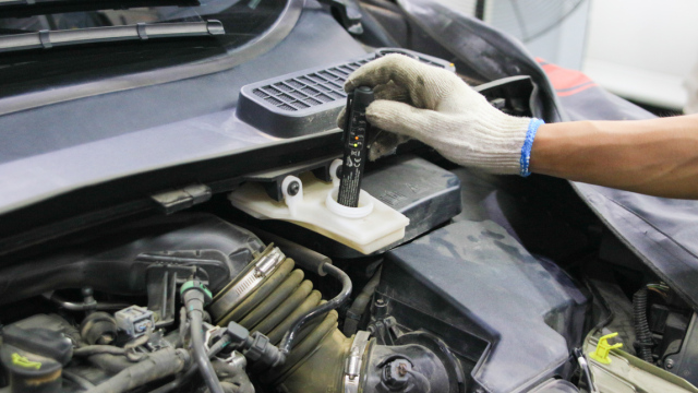 翼虎的10大忠告,翼虎详细介绍