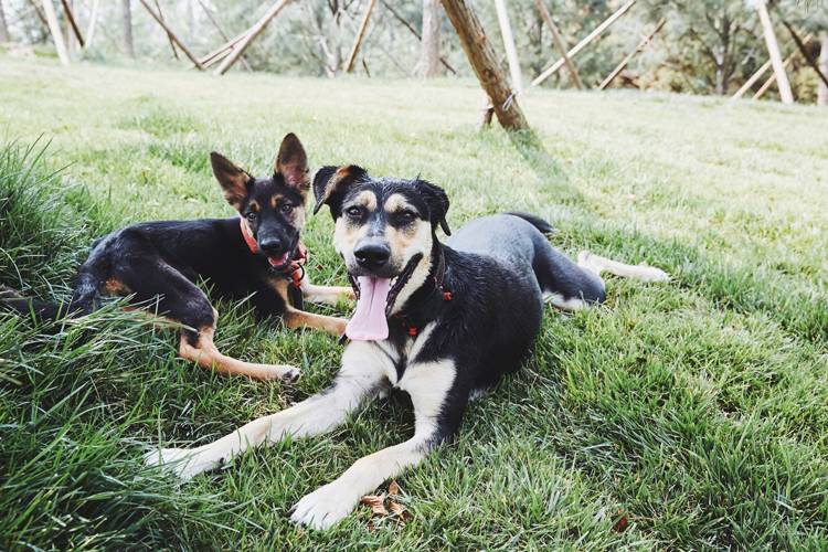 “列车运行前方：龙车站”我和TA打开了意外之门