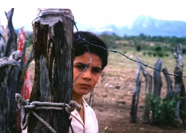 世界10部最值得看的公路电影,令人震动的公路