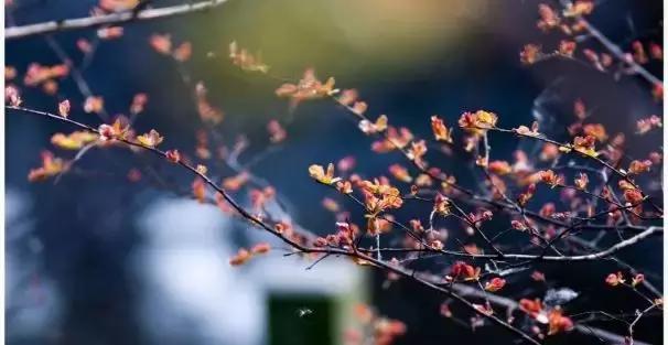 妈妈抗癌的路上辛苦了,妈妈别怕