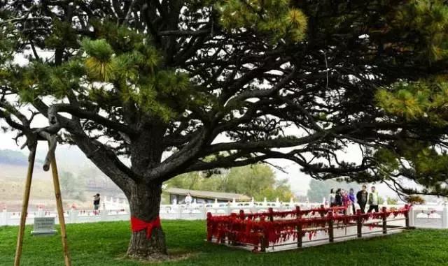 居游大事｜金秋套票正式发售啦！这次两个套票任你选！