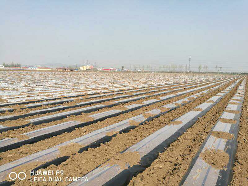 全降解地膜山东清田,山东清田塑工有限公司