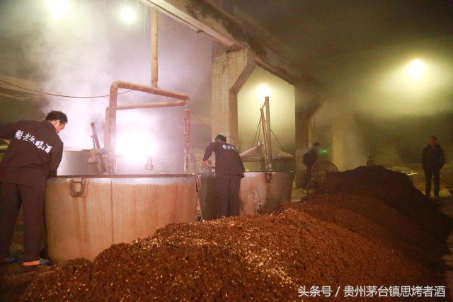 憨老头故事,憨老头酒馆全部视频