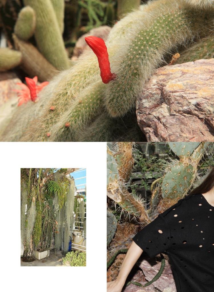 伍尔夫笔下的女人,伍尔夫女士