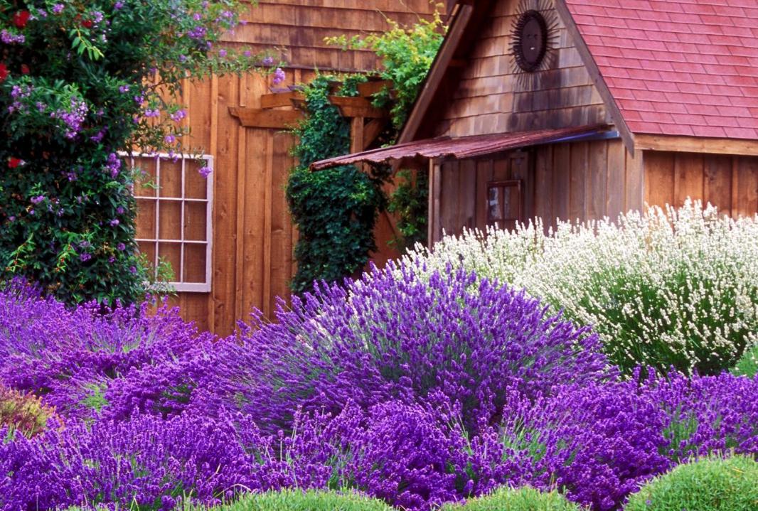 女人最喜欢男人的8种行为,女人最喜欢的四种男人