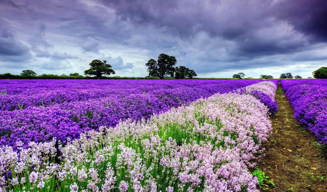 女人最喜欢男人的8种行为,女人最喜欢的四种男人