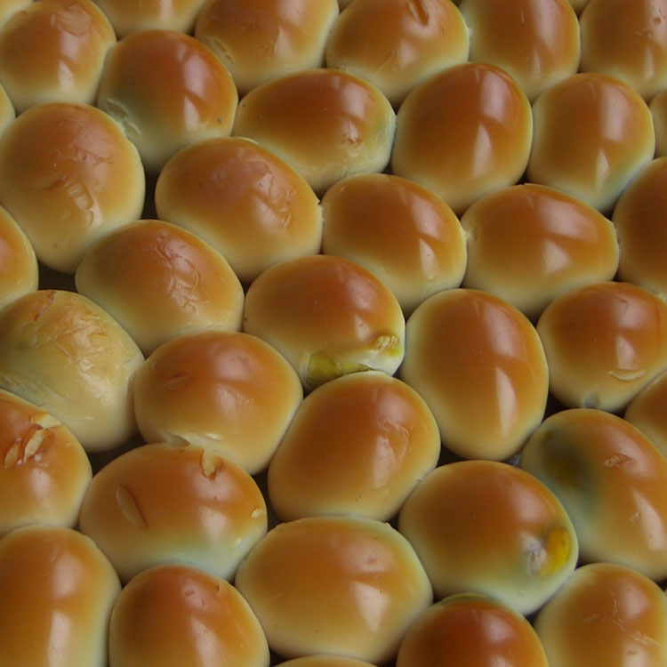 芦丁鸡蛋孵化剥壳,芦丁鸟蛋