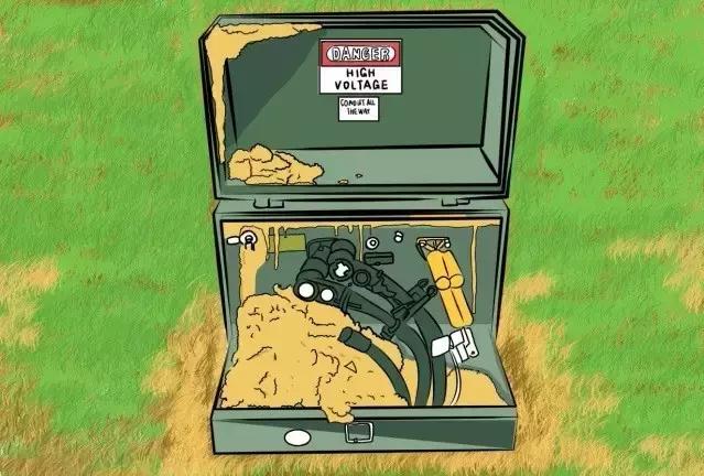 在户外要怎么注意红火蚁,高度警惕红火蚁