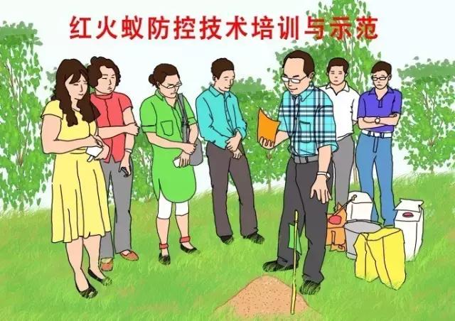 在户外要怎么注意红火蚁,高度警惕红火蚁