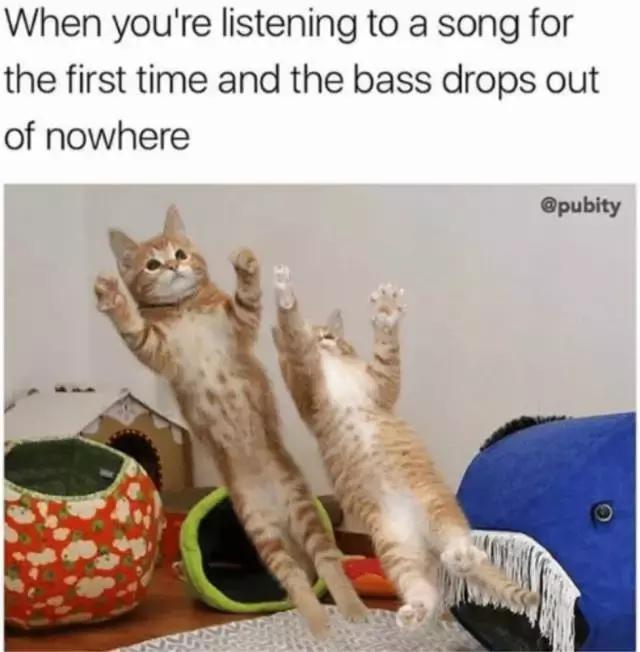 能震碎玻璃的低音炮,能震动身体的低音炮