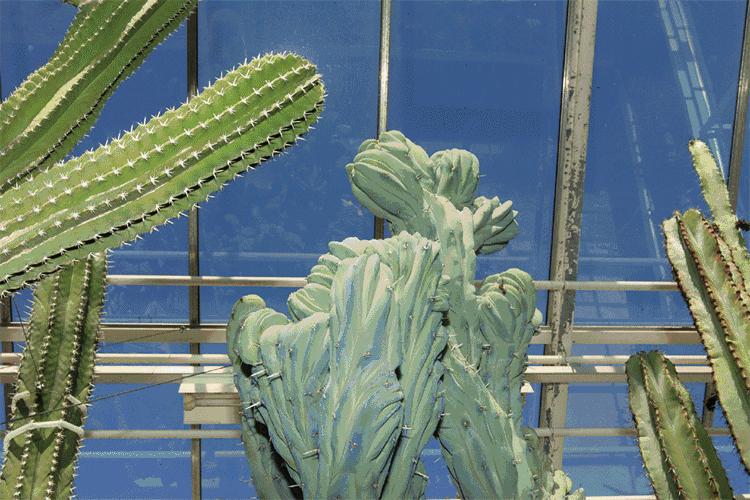 伍尔夫笔下的女人,伍尔夫女士