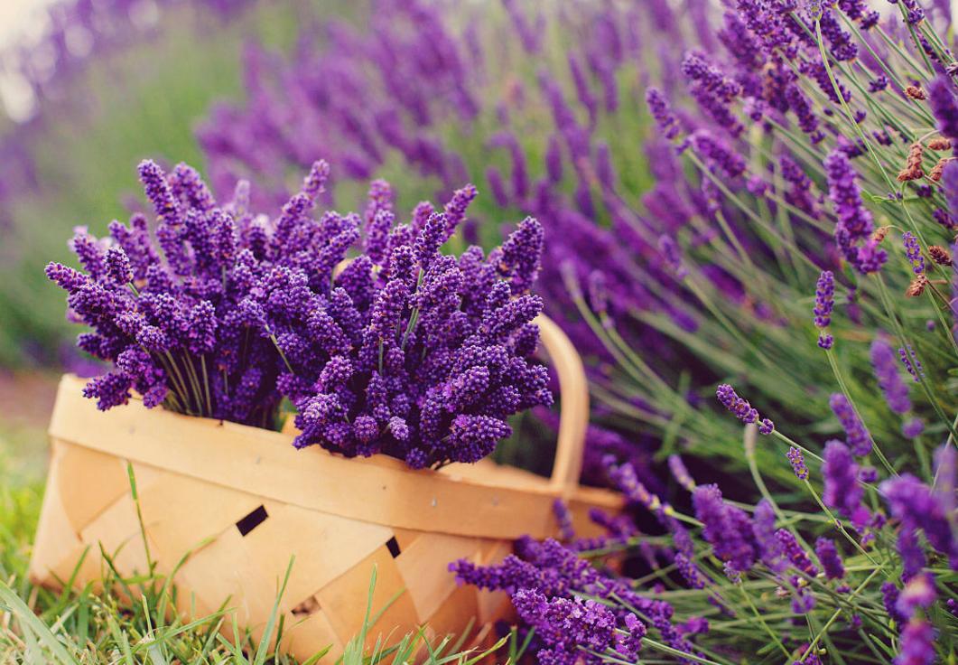 女人最喜欢男人的8种行为,女人最喜欢的四种男人