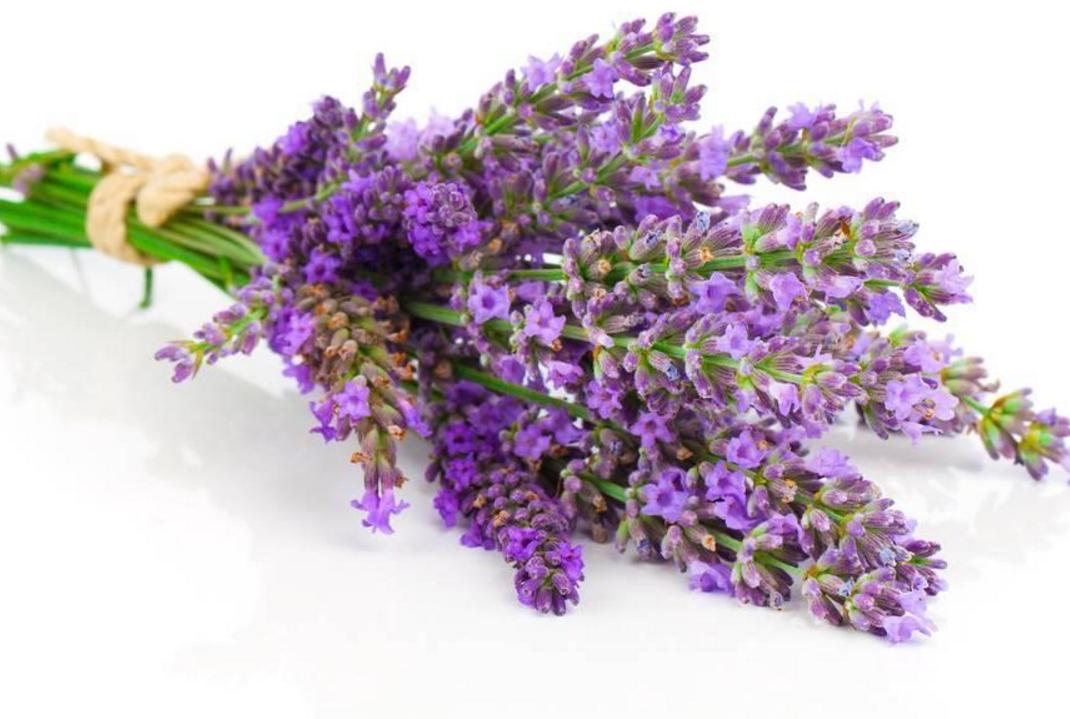 女人最喜欢男人的8种行为,女人最喜欢的四种男人