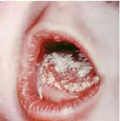 拿什么拯救你我的爱人新版,拿什么拯救你我的爱人李崇霄