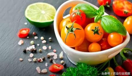 干货如何赚钱,干货如何做大