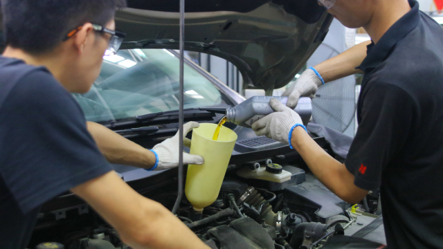 翼虎的10大忠告,翼虎详细介绍