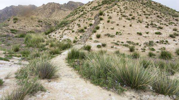 鬼吹灯九层妖塔真相,鬼吹灯里面的9层妖塔是干什么的