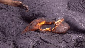 iphonex还能撑多久,iphonex烂大街吗