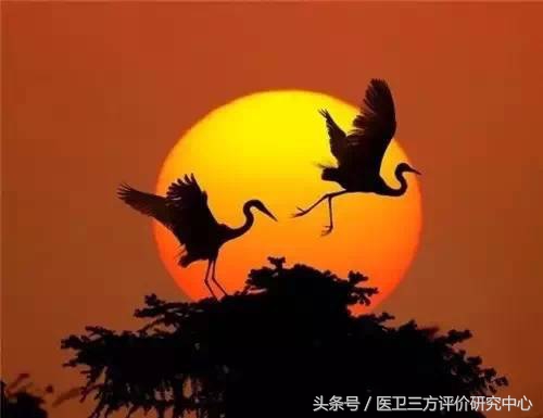 微波消融术后肿块多久才能消,甲状腺肿块微波消融