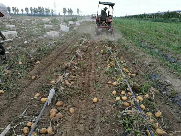 全降解地膜山东清田,山东清田塑工有限公司