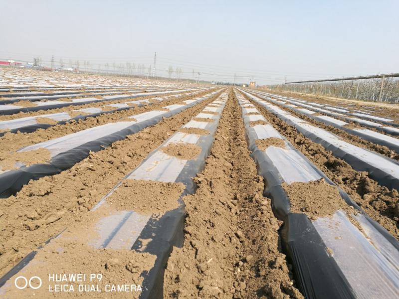 全降解地膜山东清田,山东清田塑工有限公司