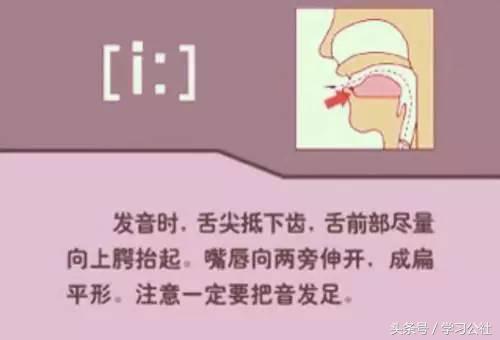 小妞老师音标发音48个教学视频,音标发音48个正确发音讲解视频