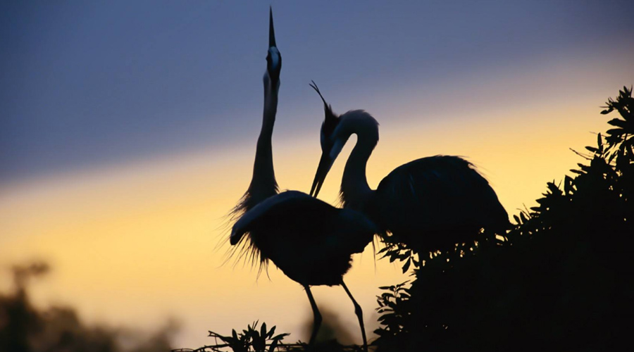 浅学易懂谈股票,股票入门需要从哪里了解
