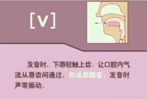 小妞老师音标发音48个教学视频,音标发音48个正确发音讲解视频