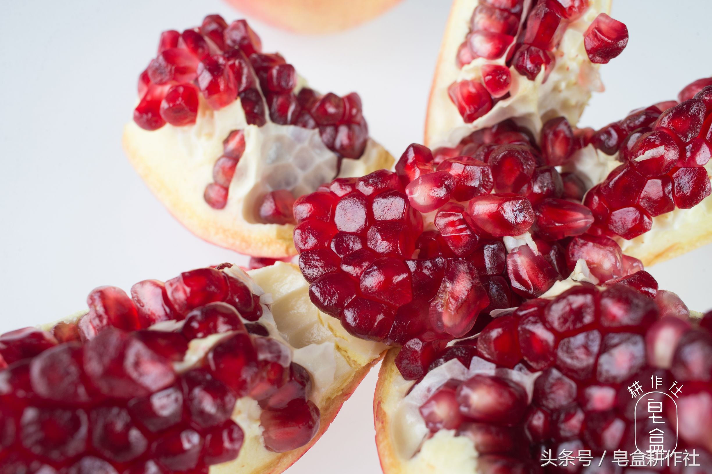 颜值与美味并存的突尼斯软籽石榴,想吃的来品尝突尼斯软籽石榴