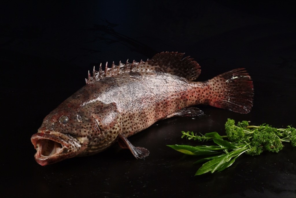 中国人经常吃的海鱼,中国人一般常吃的鱼