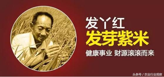 干货如何赚钱,干货如何做大