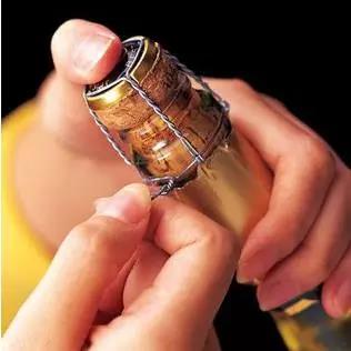 起泡酒品鉴顺序,起泡酒怎么判断变没变质