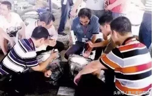 最牛赌石一夜暴富130万,赌石现场一刀赚18个亿帝王绿