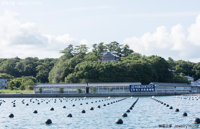 听过无数遍,怎么辨别真正的akoya珍珠