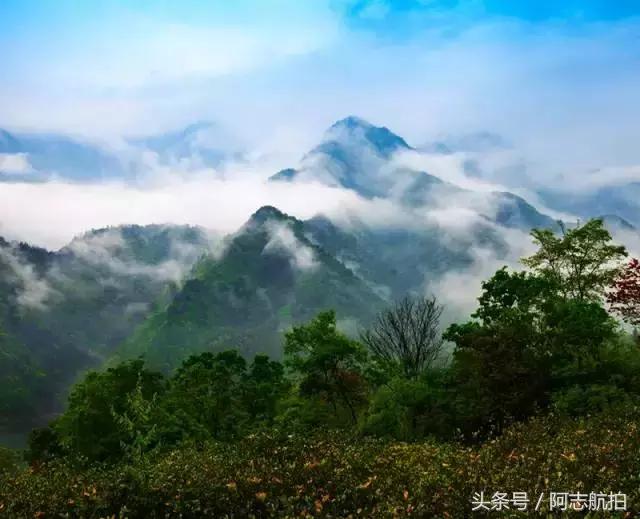 长阳周边的保护区,长阳国家级森林公园图片