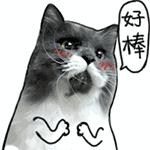 惠州机场航线时间表,2023年惠州机场多少个航线