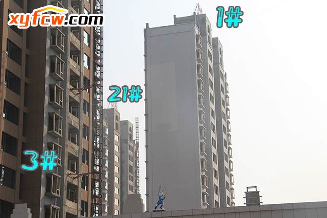 世界城二期,世界城二期属于哪个片区