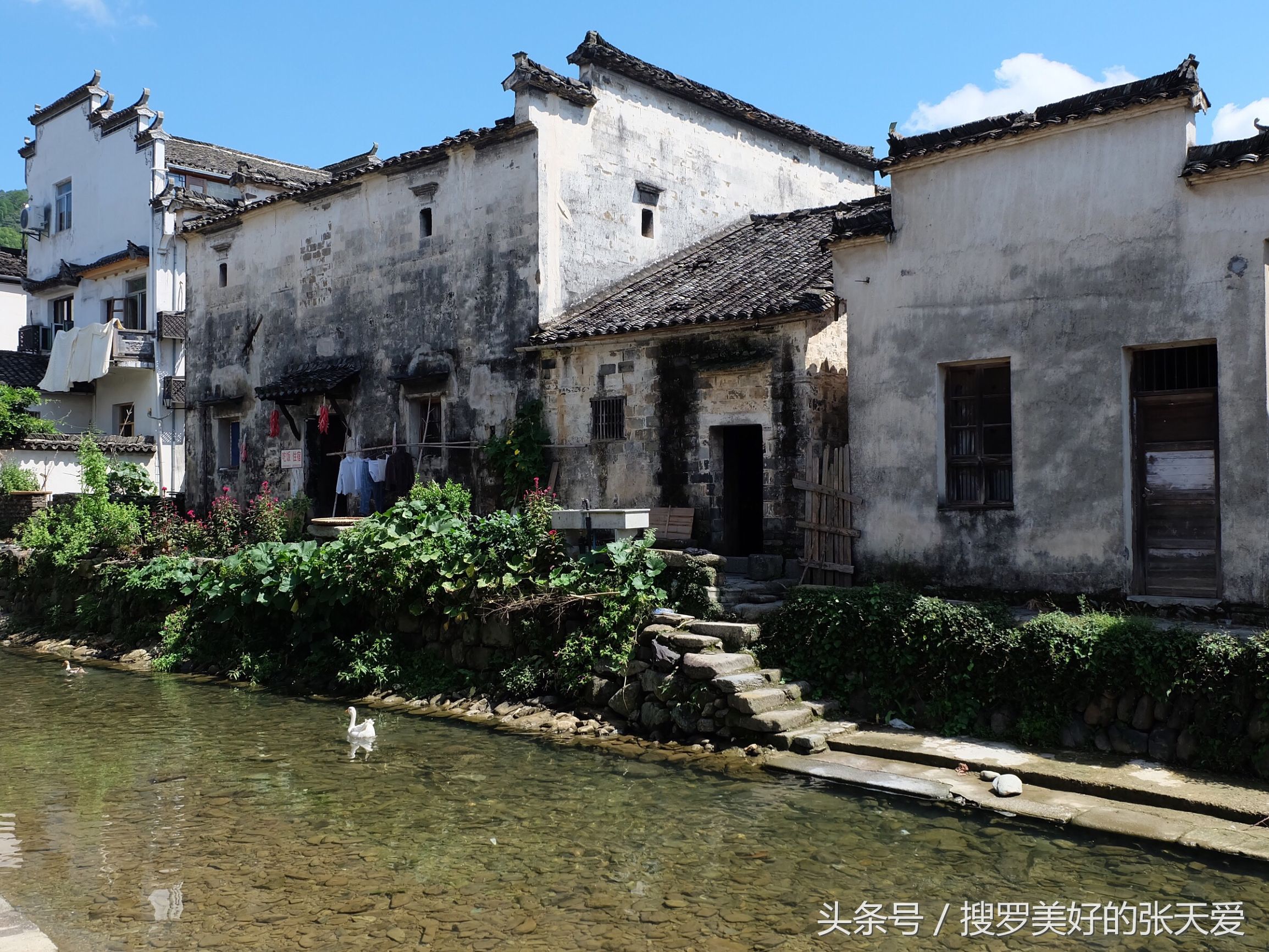 自然环境酒店,最美黄山酒店