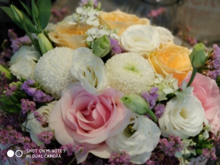 小米note3拍照好看吗,小米note3拍照有多强