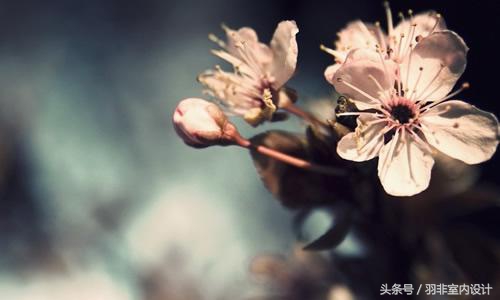 蛋糕店也可以这么文艺？柳州吃瓜群众也是服了~