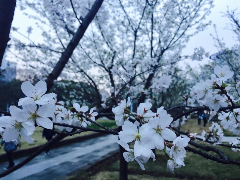 你不该错过歌曲,你不应错过的十大原创好文